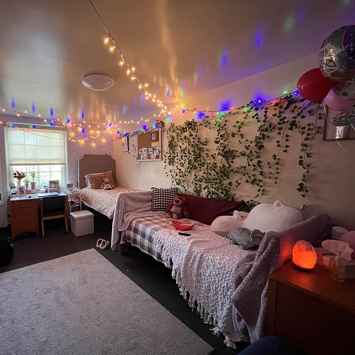 照片里的宿舍里有舒适的枕头、毯子和精灵灯
